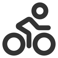 Icon depicting payload capacity of DAMAXED e-bikes.