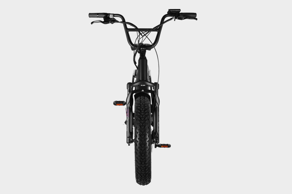 Black Samsung/LG 48V15Ah electric cargo fat tire bike with Bafang 500W motor and 45+ mile range. Front view with angled handlebars and LCD display.