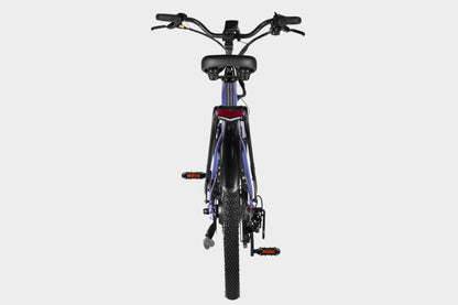Purple DAMAXED electric city bike, 20+ mph, 45 mile range, LG 48V14Ah battery, Bafang 350W motor. Back view showing rear rack and fenders.