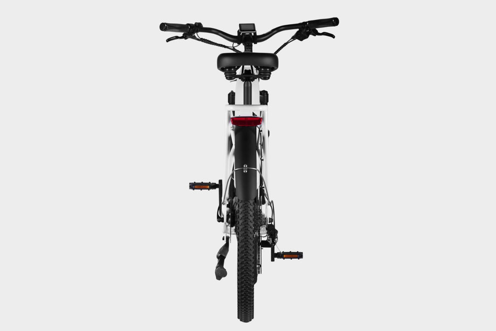 White DAMAXED electric city bike, 9-speed, Ananda M100 motor, LG 48V14Ah battery. Back view showing rear rack and fenders.