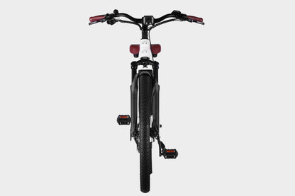 White DAMAXED electric city bike with brown leather saddle, 9-speed, Ananda M100 motor, LG 48V14Ah battery. Front view with angled handlebars and LCD display.