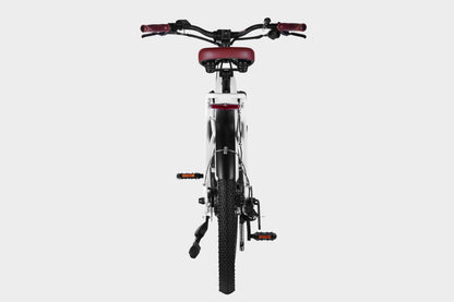 White DAMAXED electric city bike with brown leather saddle, 9-speed, Ananda M100 motor, LG 48V14Ah battery.  Back view showing rear rack and fenders.